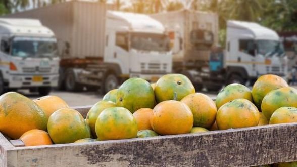 Perishable fresh produce cold chain